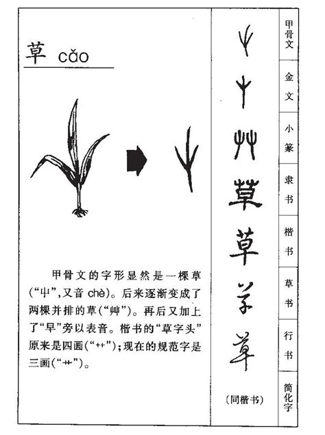 草部首的名字|部首索引 [6畫/艸部+